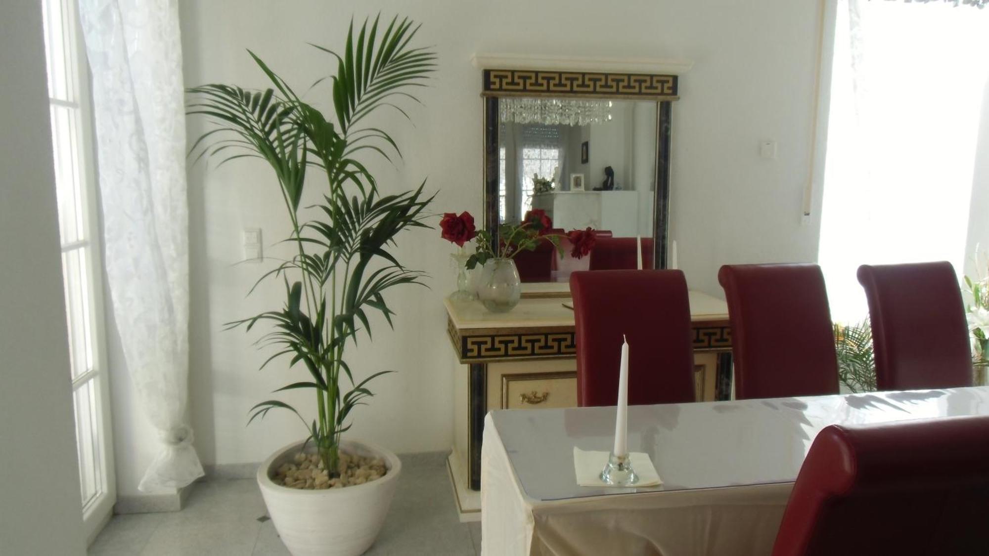 Gaestehaus Tante Tienchen 7 Minuten Zu Fuss Zum Europa Park , Plus Kostenloses Parkplatzticket Rulantica ,Alle Unsere Suiten Haben Einen Balkon Rust Εξωτερικό φωτογραφία